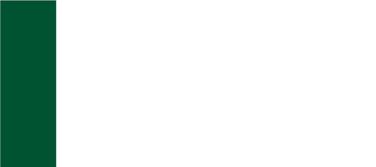 Toshiba Visual